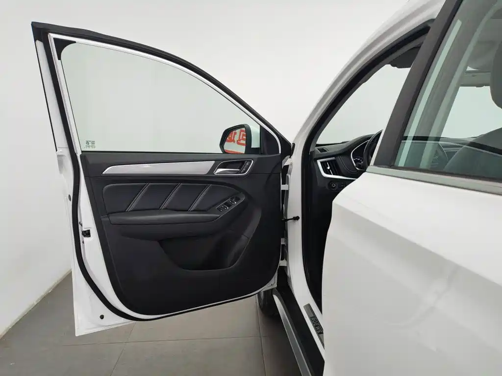 Фото 8 - Roewe RX5