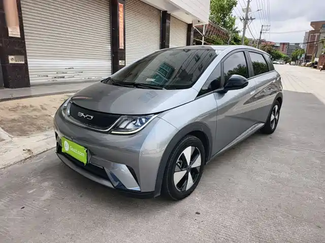 BYD Dolphin 420km, Стиль