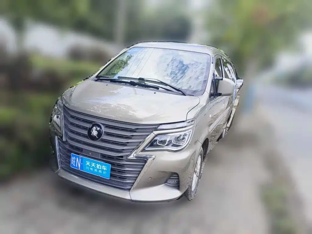 Фото 1 - Dongfeng Fengxing Lingzhi