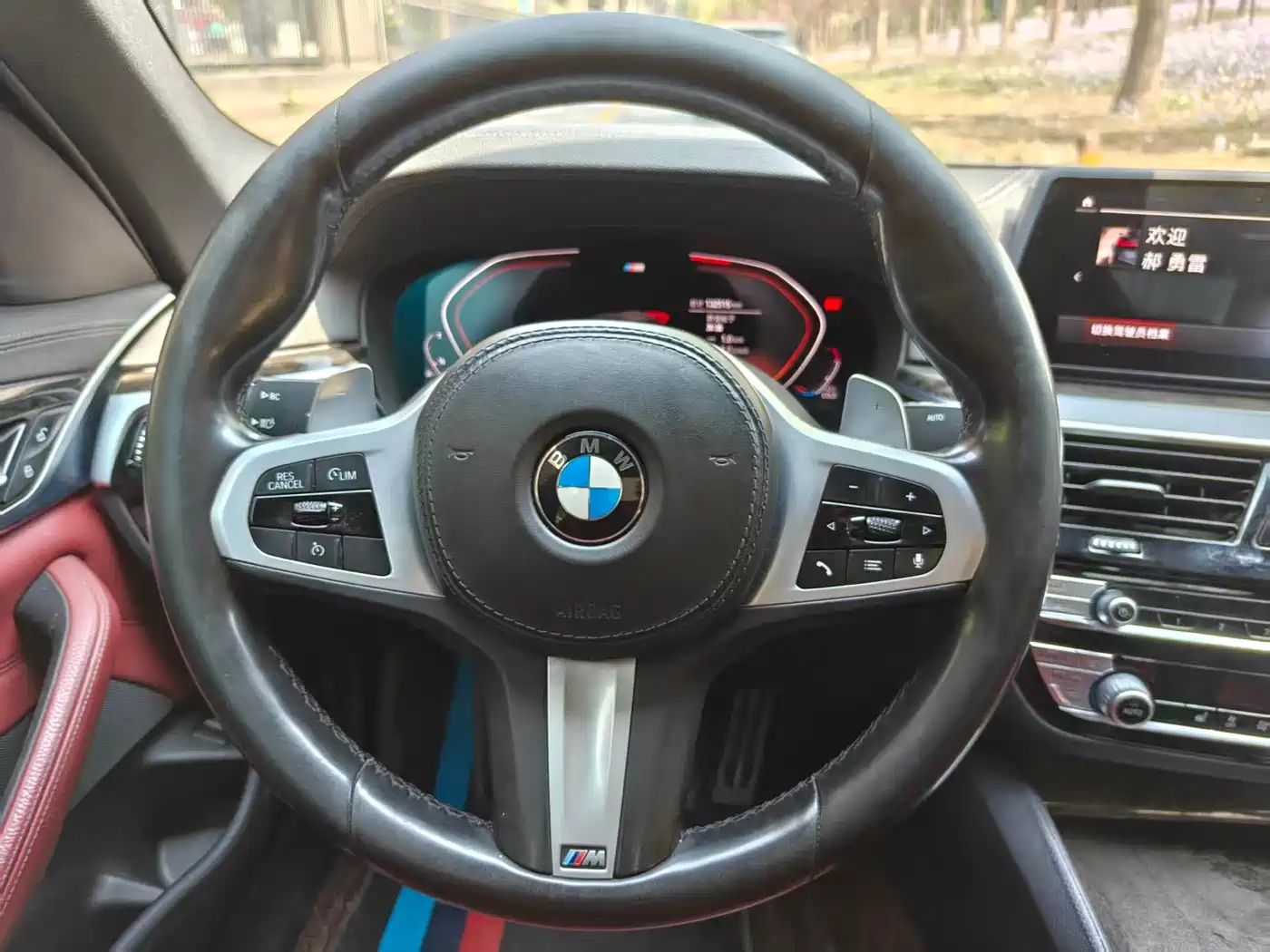 BMW 5 Series 2020 530Li Leading M Sport Package фото 20