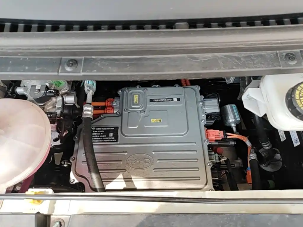 BYD Dolphin 2026 2025 420km Freedom Edition
