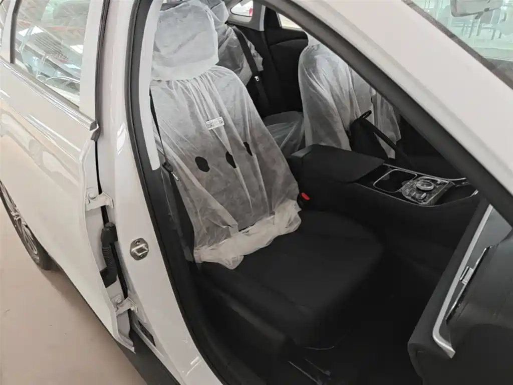 Geely Galaxy Galaxy Stellar 6 2025 Model 125km Free Edition фото 25