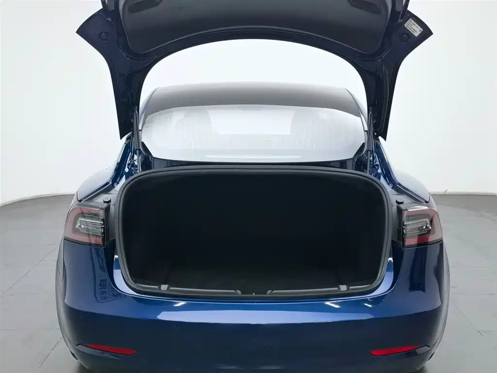 TESLA MODEL 3 (IMPORTED)
