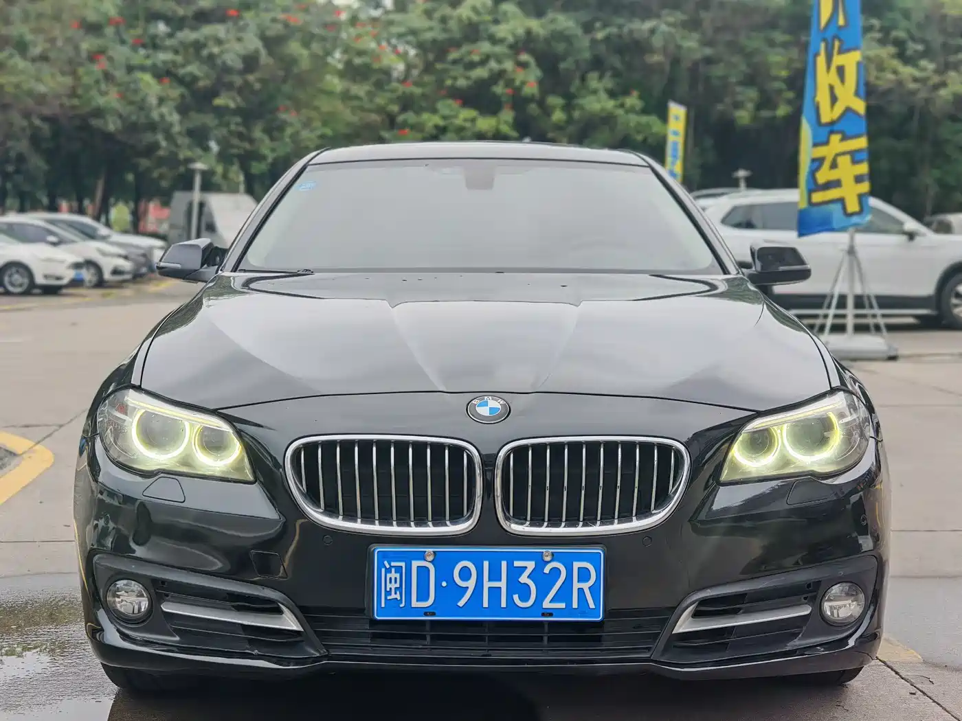 BMW 5 Series 2014 520Li Elegance фото 2