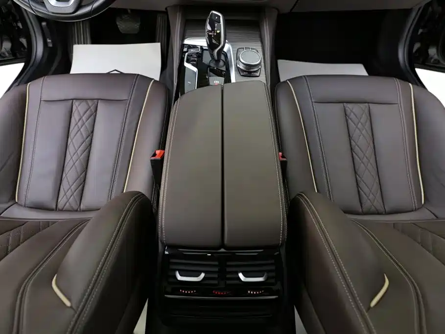 BMW 5 Series 2020 530Li Leading Luxury Package фото 11