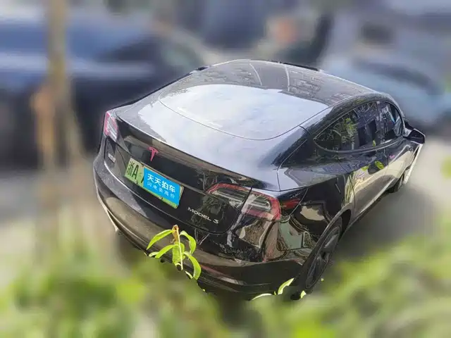 Tesla Model 3 2022 Model Rear-Wheel Drive Version — фото 2