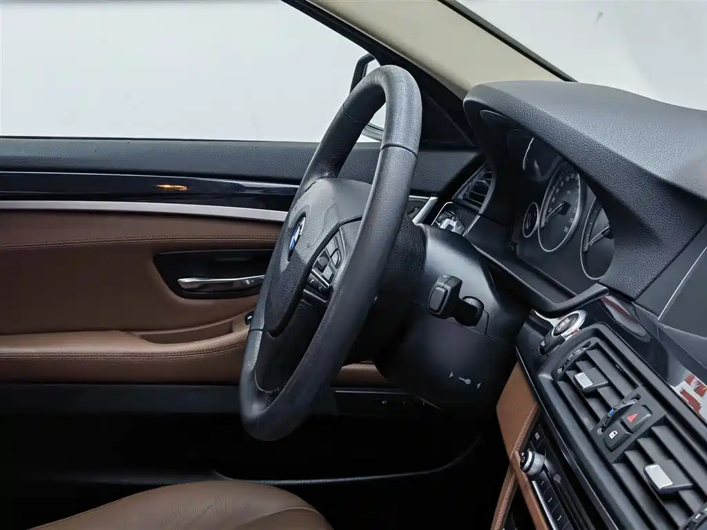 BMW 5 Series (Import) 2015 520i Elegance фото 22