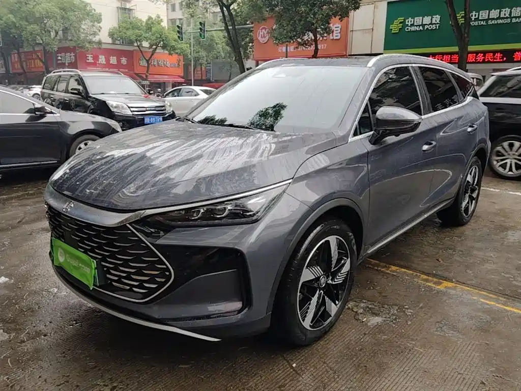 BYD Tang New Energy 2024 DM-i Honor Edition 112KM Premium
