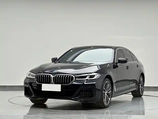 BMW 5 530Li, Лидер, M Спорт-пакет