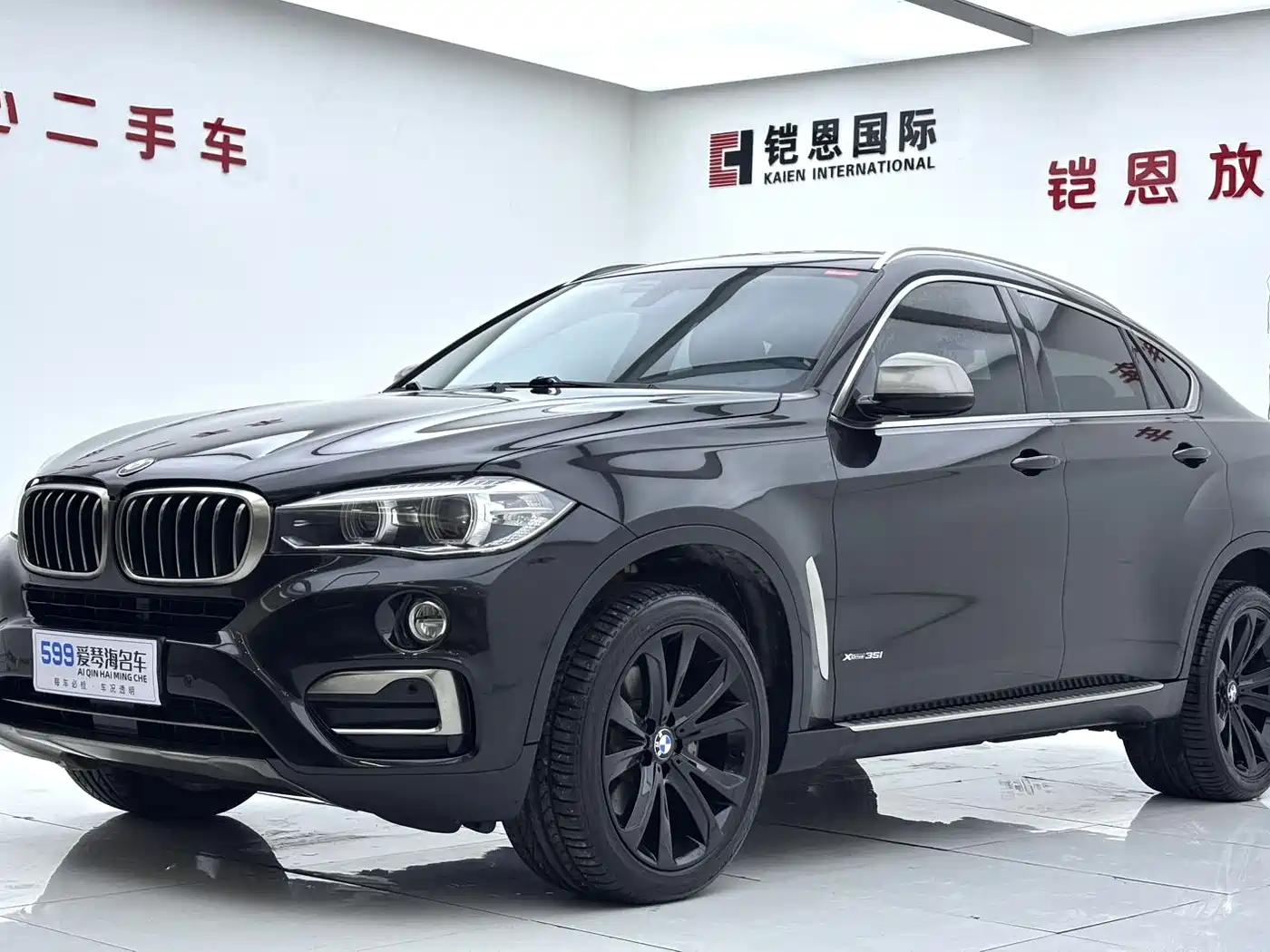 BMW X6 2018 xDrive35i Leading Model