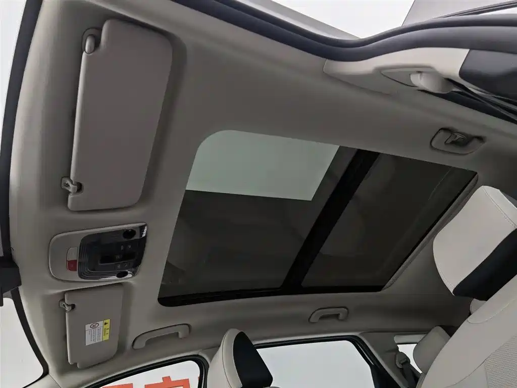 KIA LION PLATINUM EXPANDS THE WORLD
