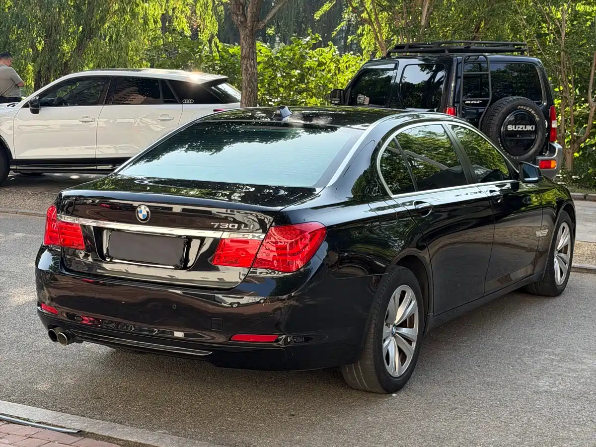 BMW 7 Series 2009 730Li Leading фото 4