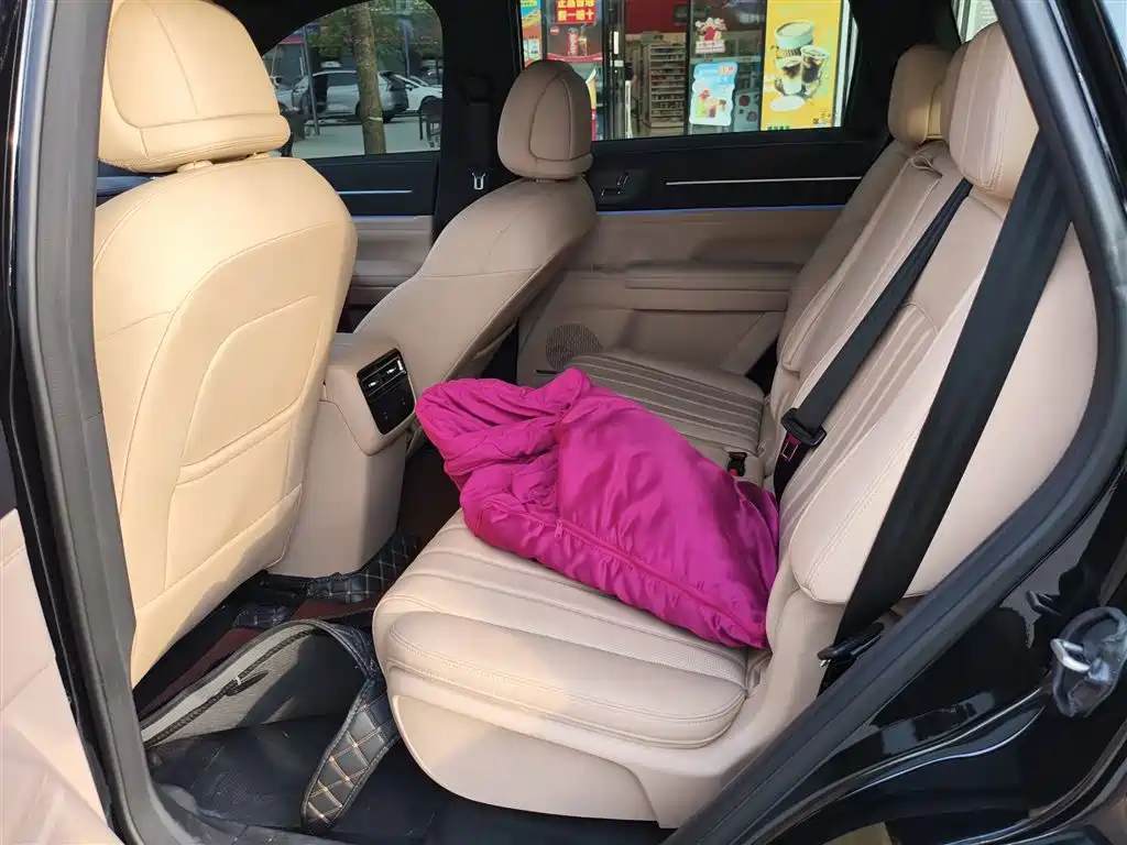Jetour Shanhai L7 PLUS 2025 2025 220km Elite Edition 7-seater