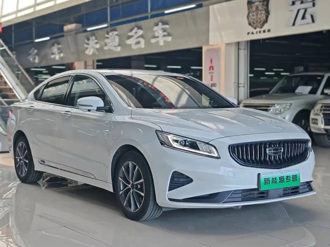 Geely Borui PHEV 2020 2021 1.5T ePro Leading Glory Edition