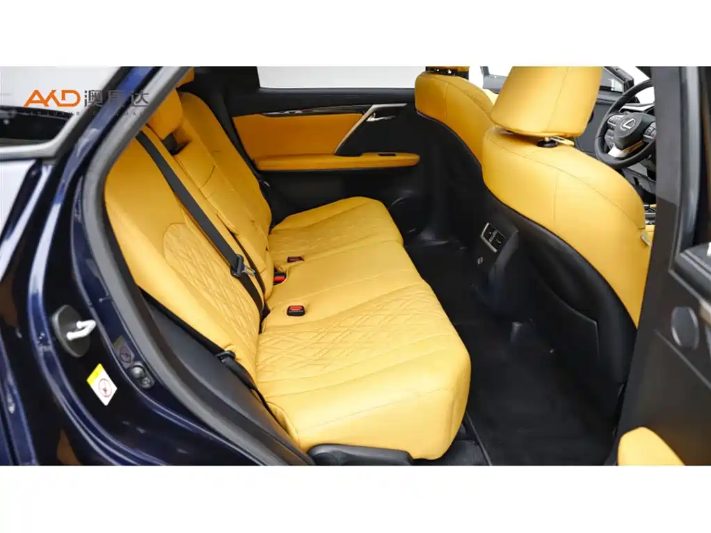 Фото 8 - Lexus RX