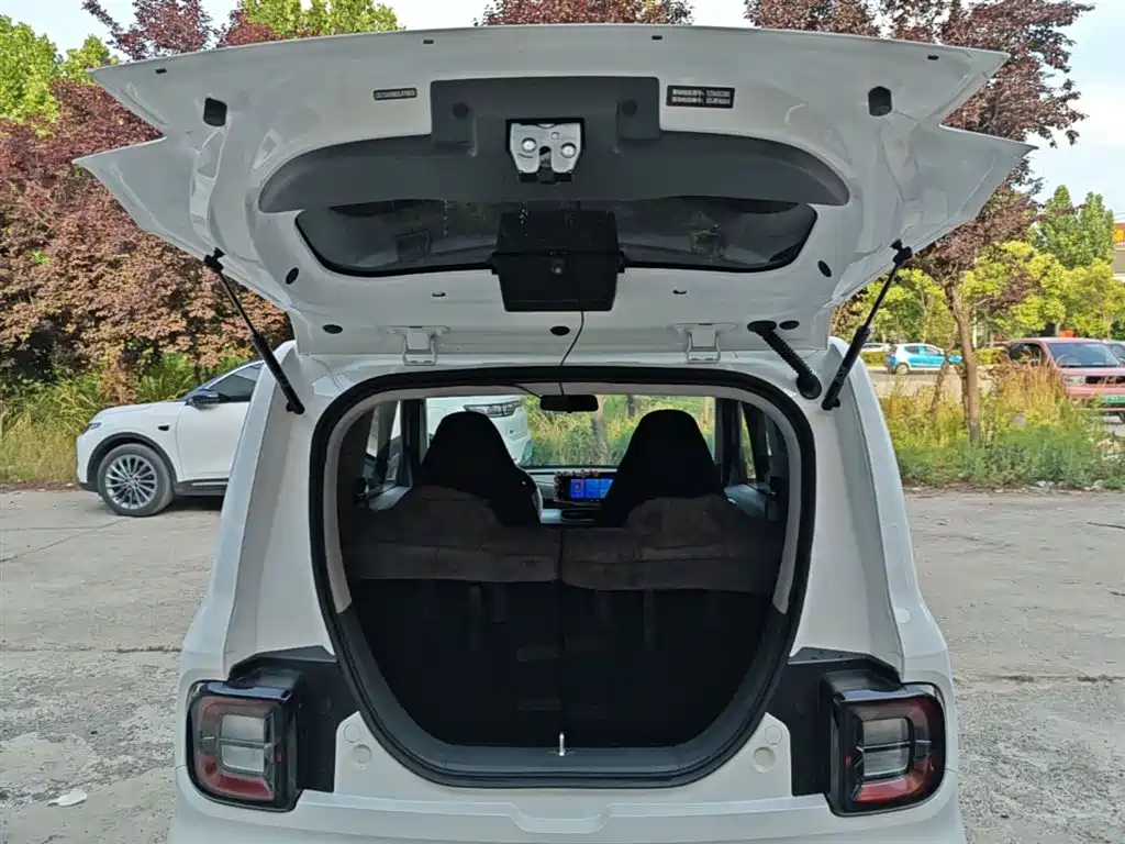 Geely Galaxy Panda 2025 Panda mini 210km Vitality Bear фото 18