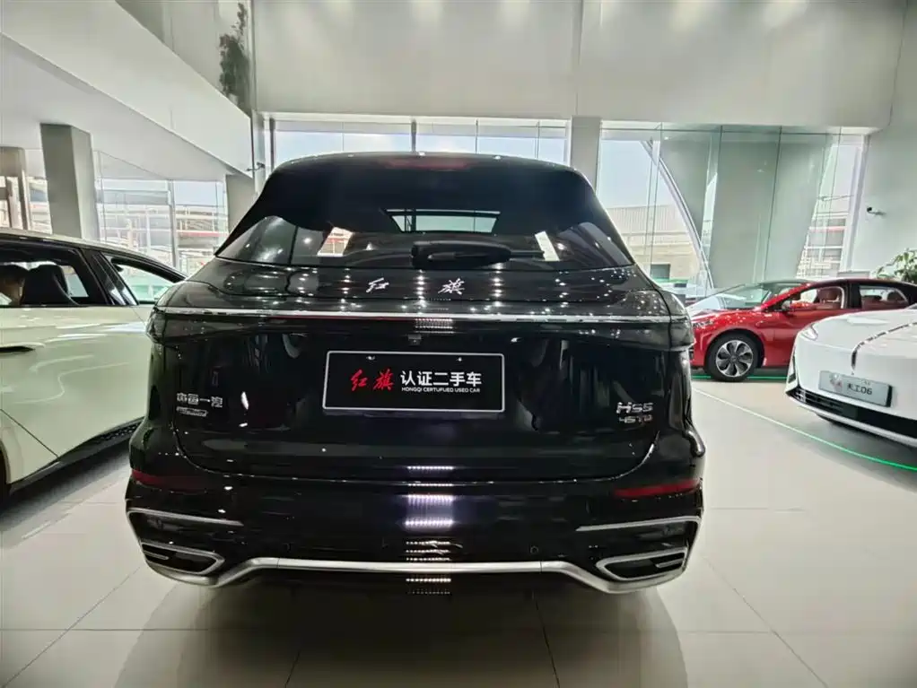 Hongqi HS5 2023 2.0T AWD Flag Enjoy Pro Edition фото 19
