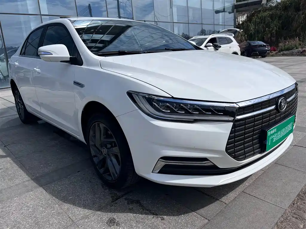 BYD Qin New Energy 2019 Long Range Luxury Edition фото 6