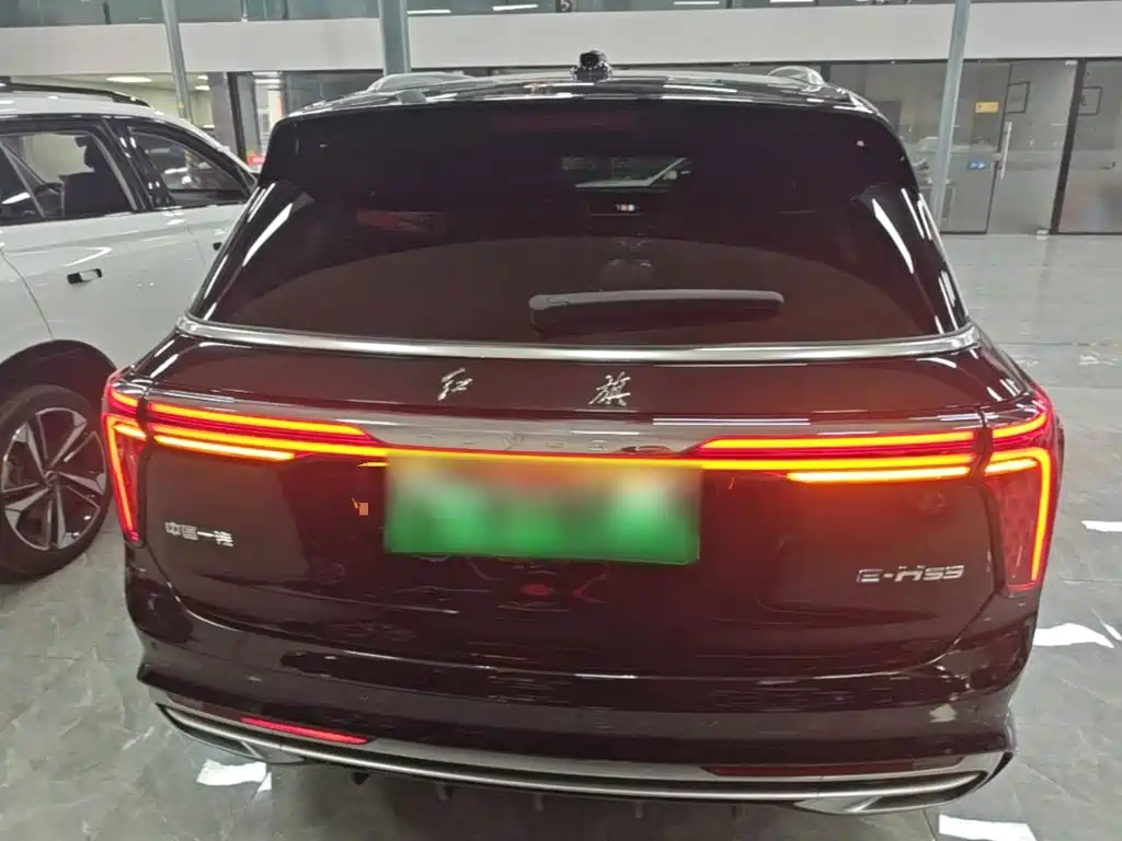 Photo 6 - Hongqi E-HS9