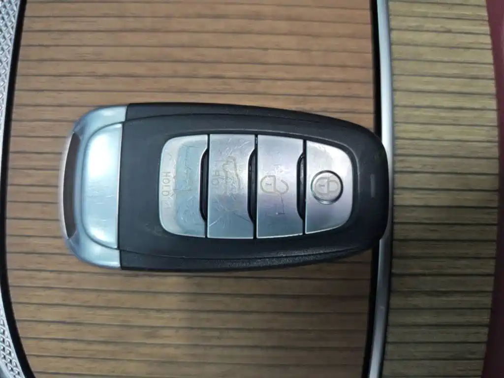 Photo 9 - Hongqi E-HS9