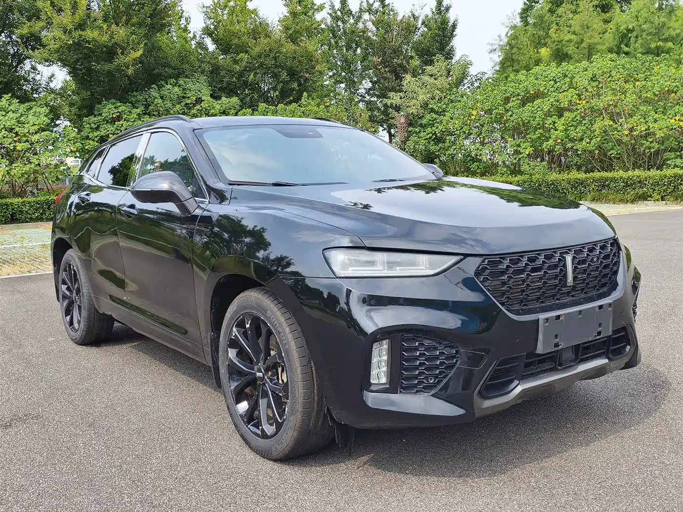 WEY VV7 2018 2017 2.0T Super Luxury
