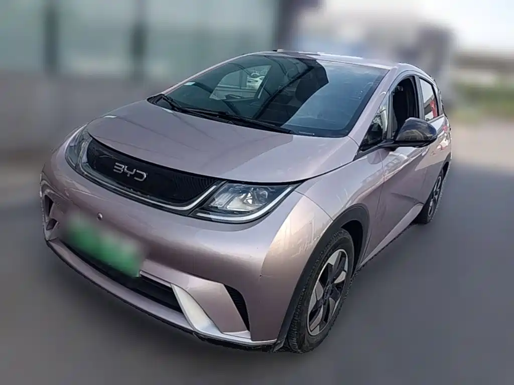 BYD Dolphin 2024