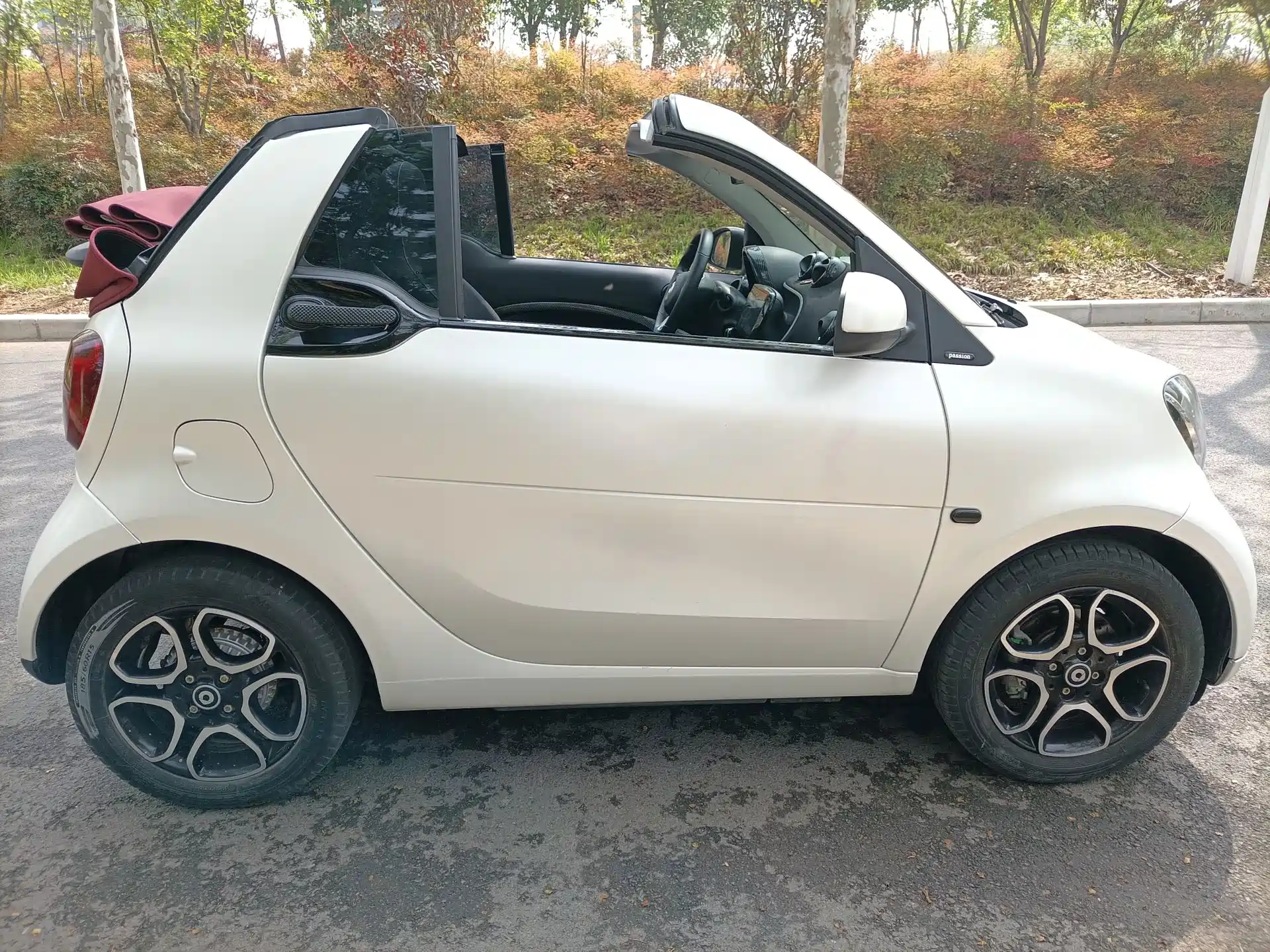 صورة 11 - smart fortwo