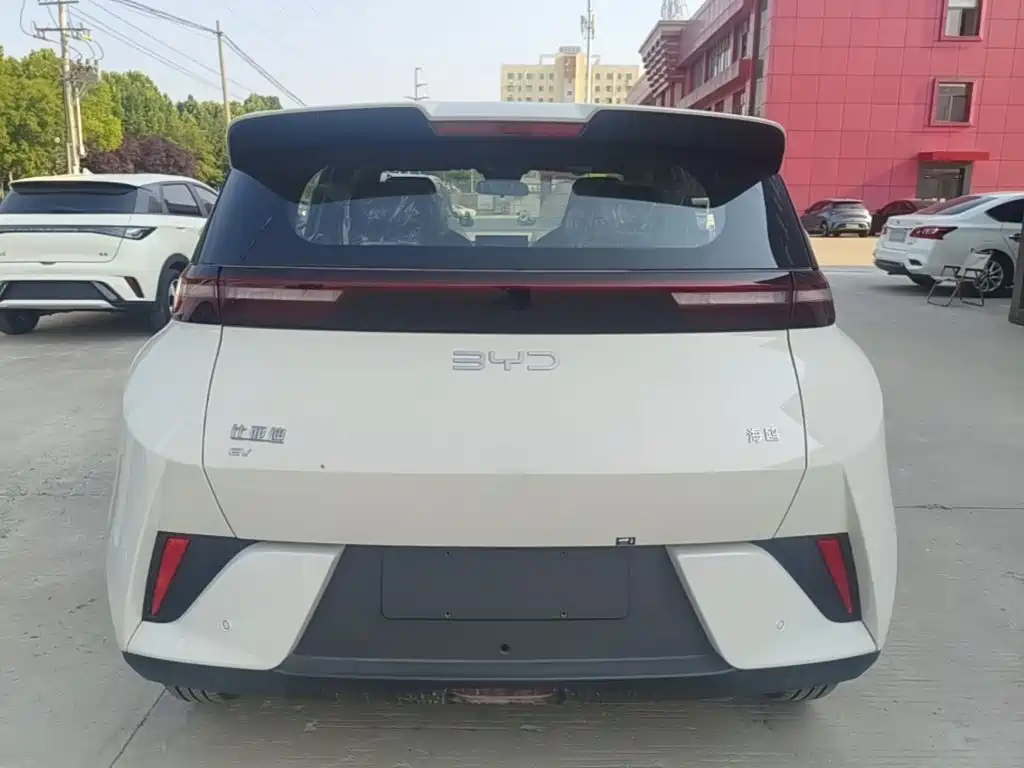 صورة 6 - BYD Seagull