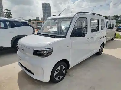 Wuling Sunshine