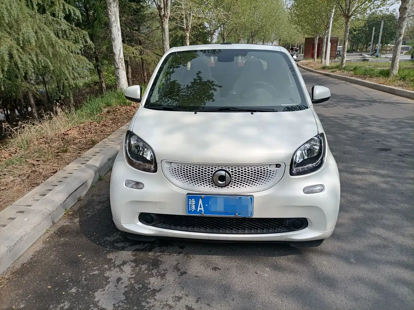 smart fortwo 2019 2018 1.0L 52kW Convertible Passion Edition China V