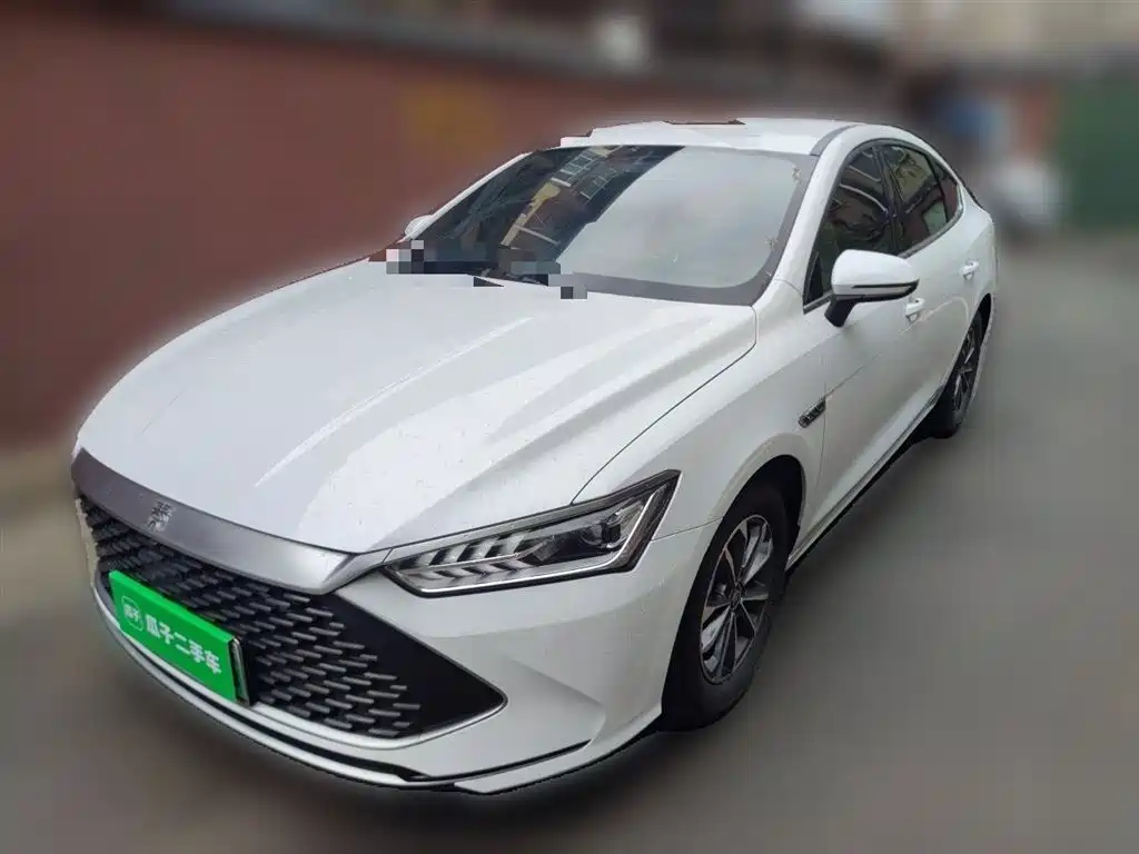 BYD Qin PLUS 2023 Champion Edition DM-i 55KM Leading фото 2