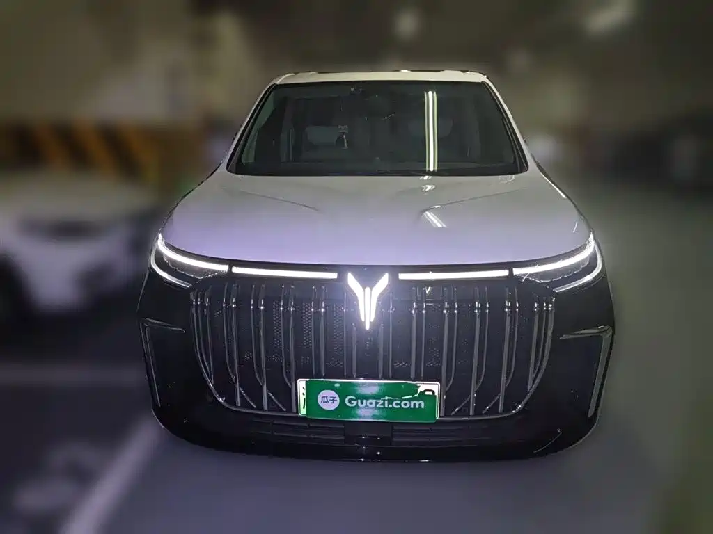 Voyah Auto Voyah Dreamer 2024 PHEV Extended Range Flagship Edition фото 24