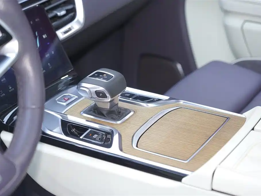 Hongqi E-HS9 2021 460km Flagship Comfort 6-seater фото 18