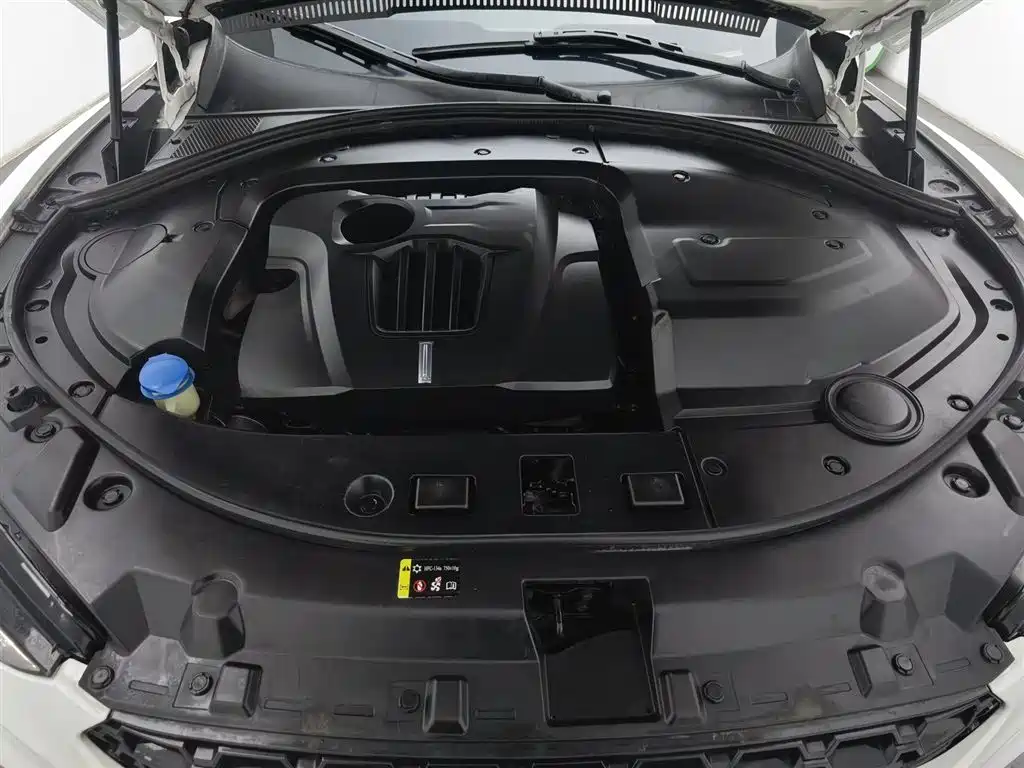 WEI PAI WEI BRAND VV7