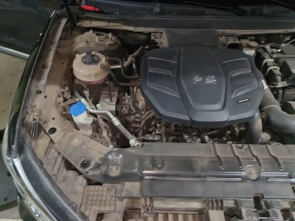 Hongqi HS5 2019 2019 2.0T Smart Connect Enjoy Edition
