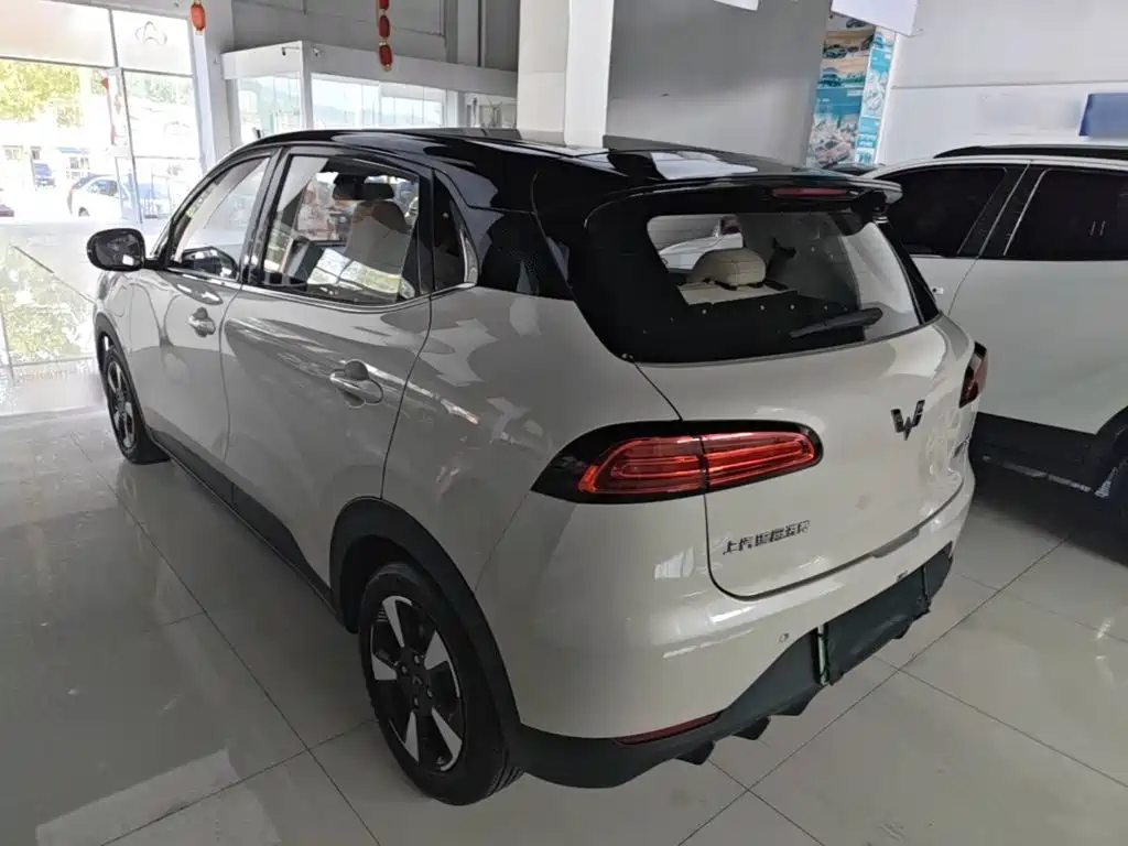 Wuling Motors Wuling Binguo PLUS 2025 2024 Model 330km 5-Seater