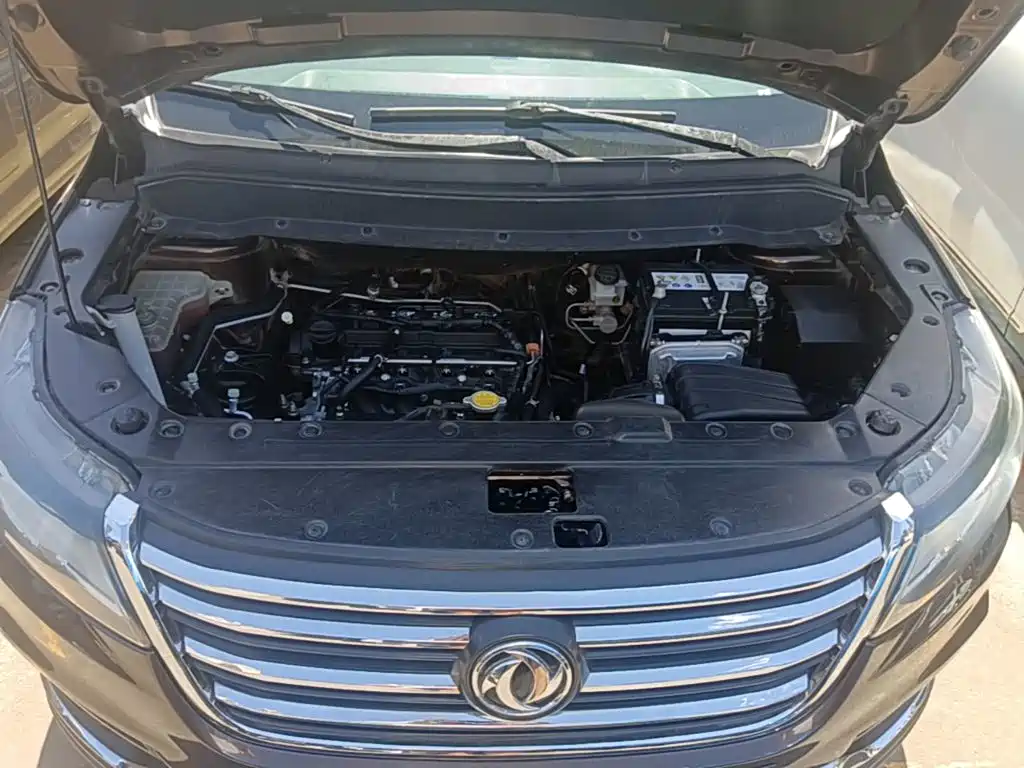 Dongfeng Fengxing Fengxing SX6 2016 2016 1.6L Manual Luxury