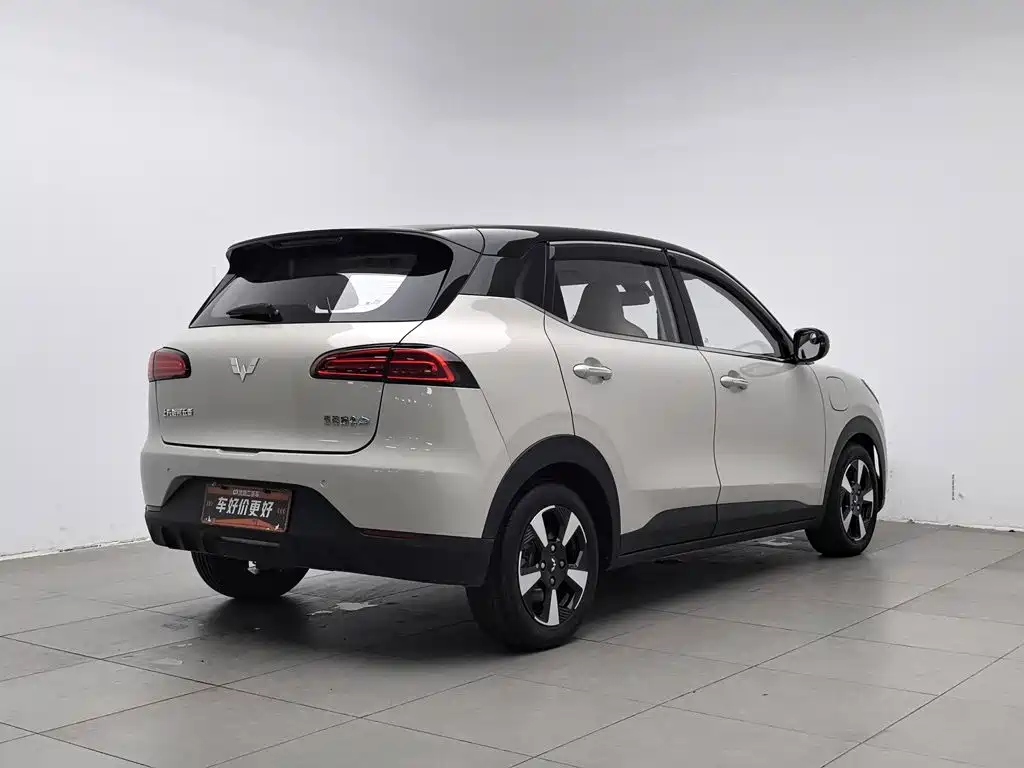 Wuling Motors Wuling Binguo PLUS 2025 2024 510km Range 5-seater