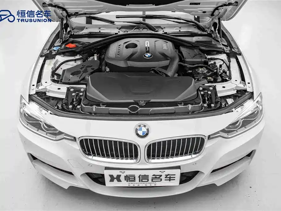 BMW 3 Series 2019 320Li M Sport Package фото 21
