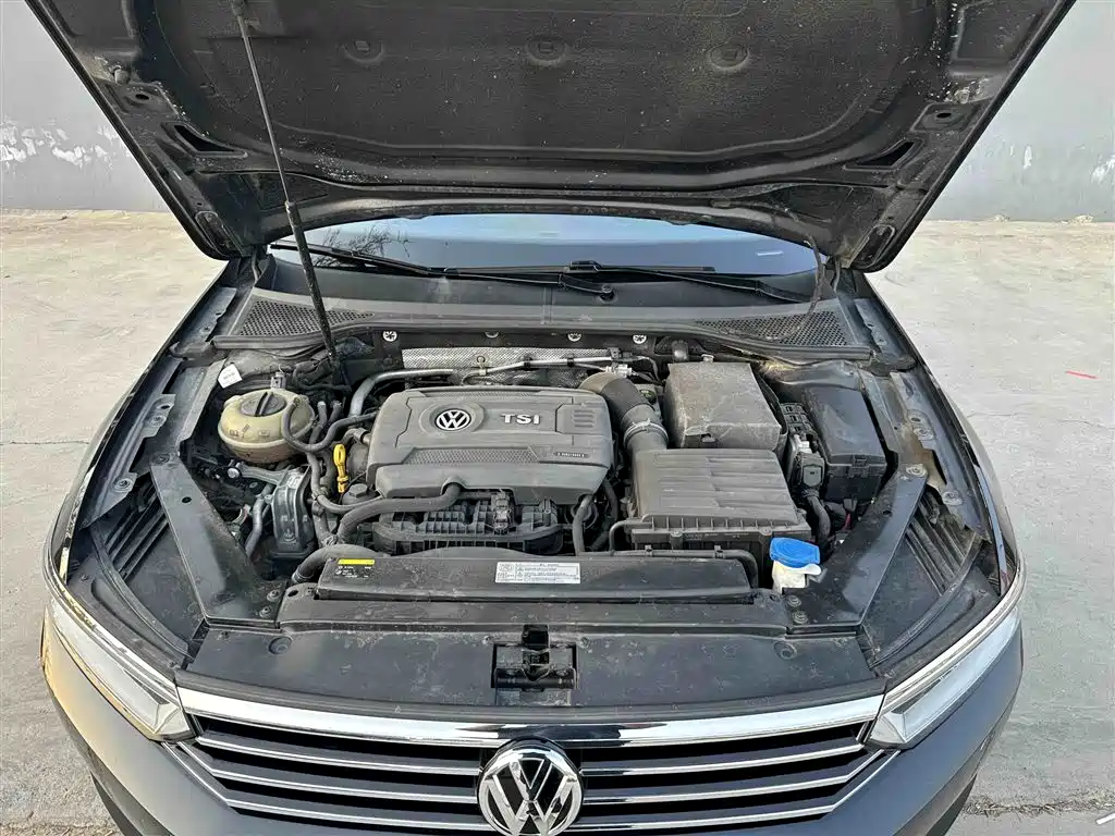 Volkswagen Magotan 2017 380TSI DSG Luxury фото 11