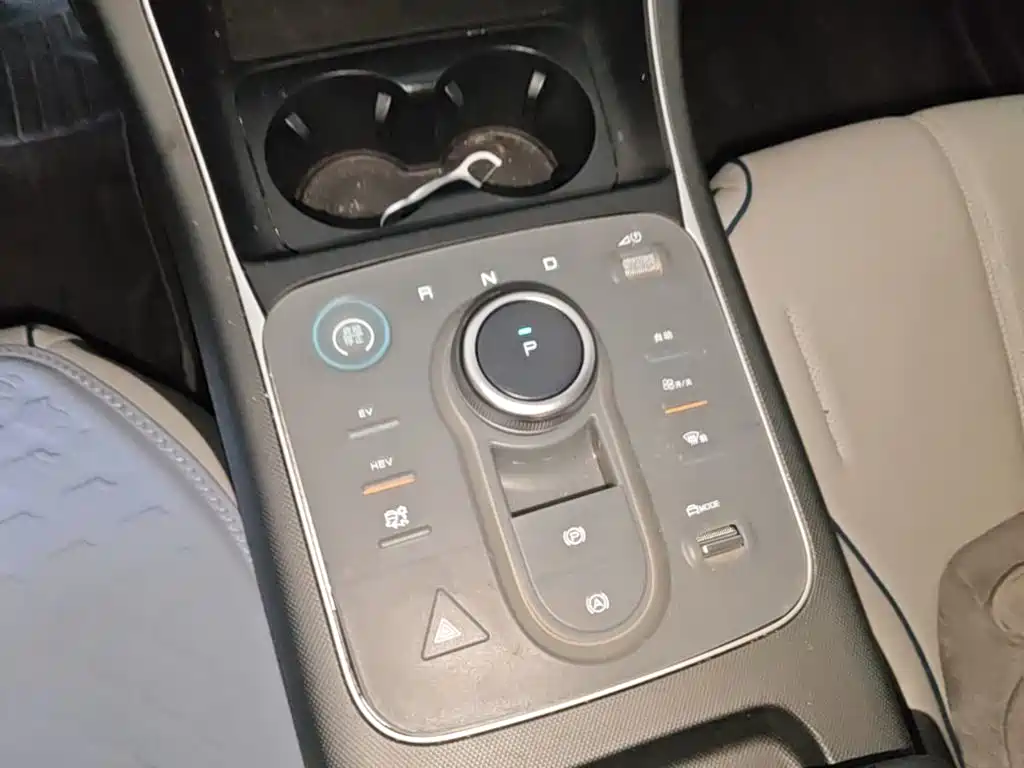 BYD Destroyer 05 2025 2024 Glory Edition DM-i 55KM Luxury