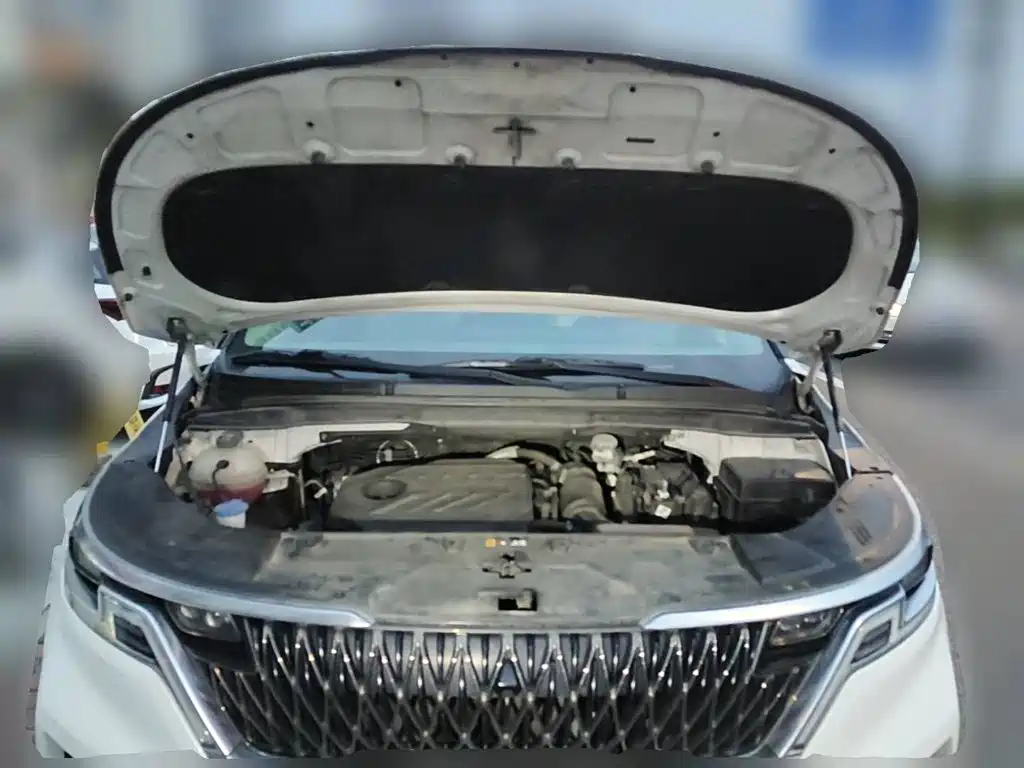 Фото 3 - Kia Carnival