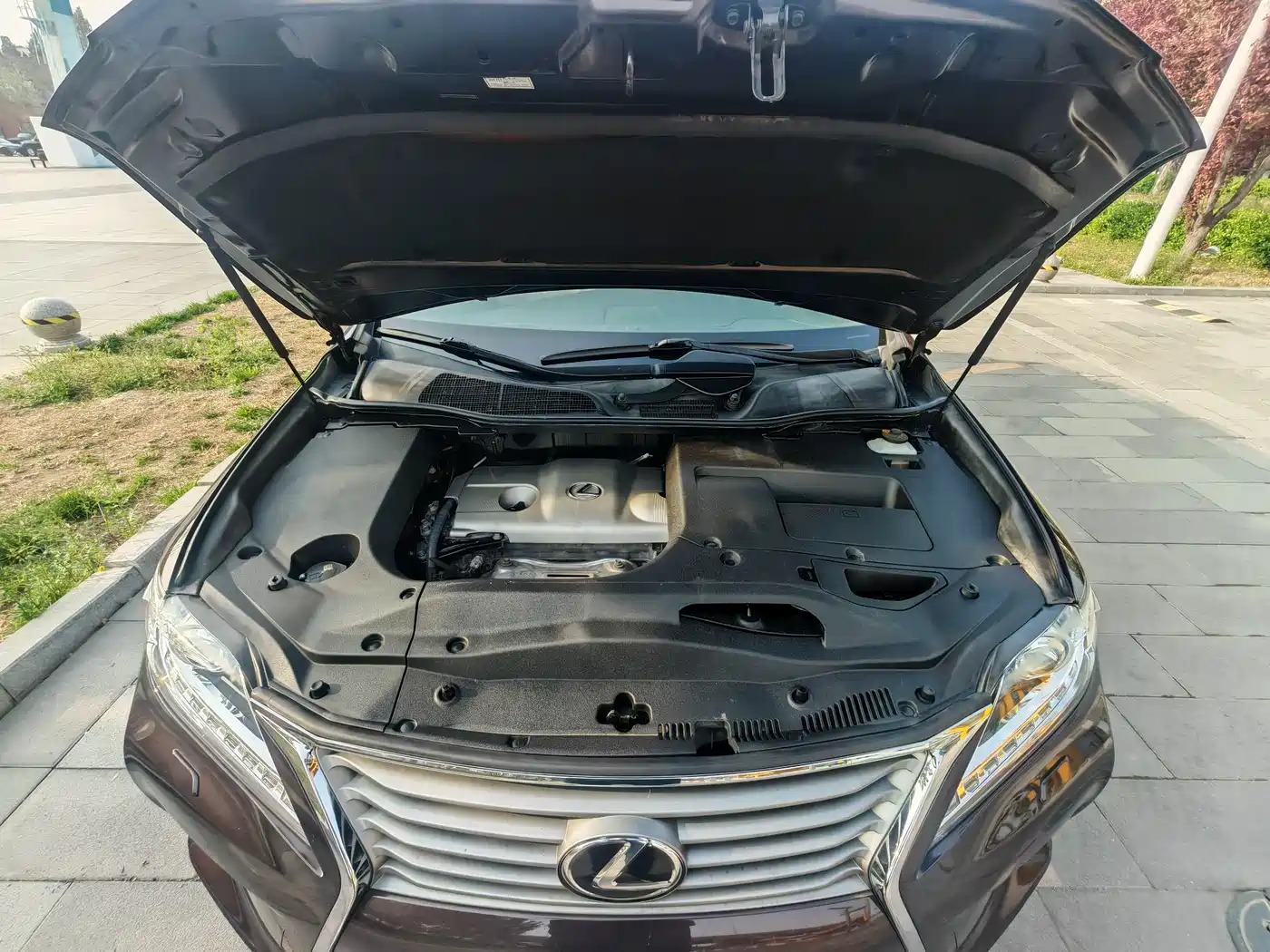 Lexus RX Classic 2013 270 Elegance фото 23