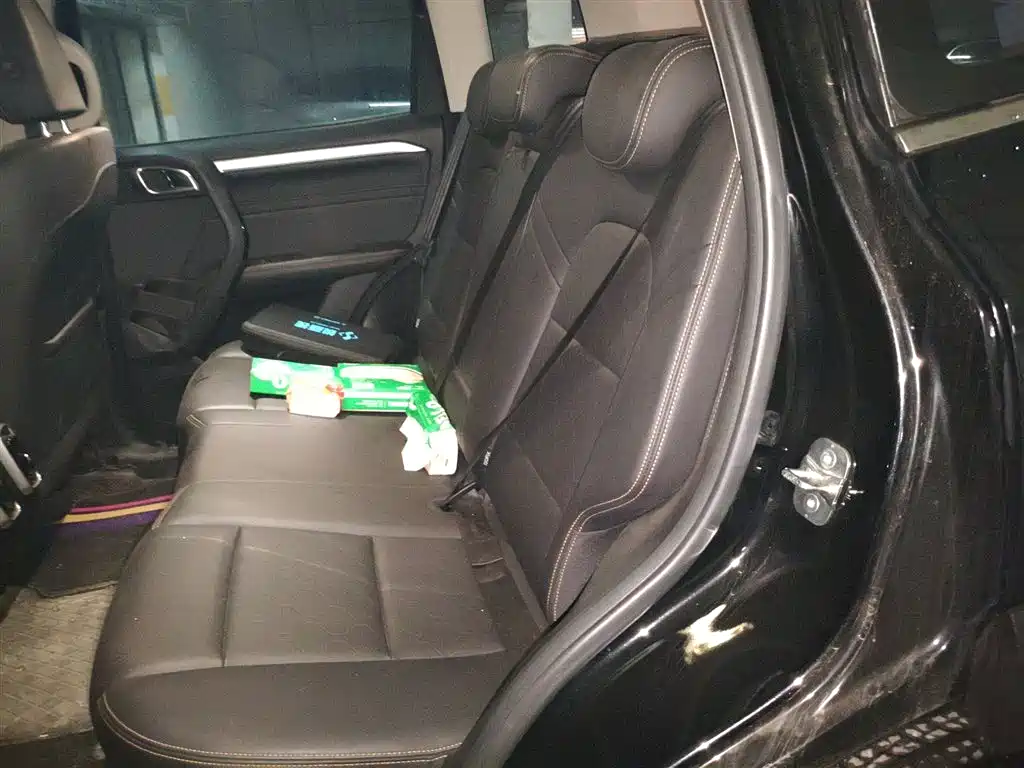 Haval Big Dog 2022 1.5T DCT FWD Border Collie Edition фото 15