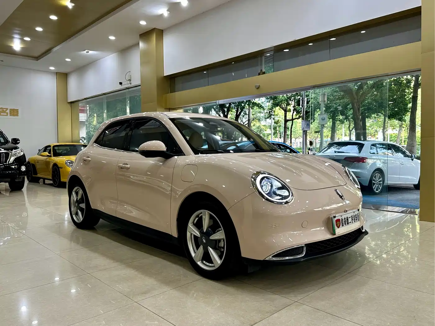 Ora Good Cat 2024 2023 401km Standard Range Luxury LFP