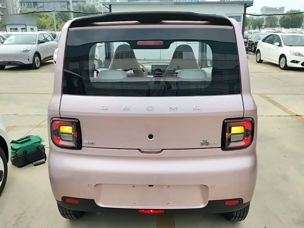 Geely Galaxy Panda 2026 2025 Panda mini 210km Vitality Bear