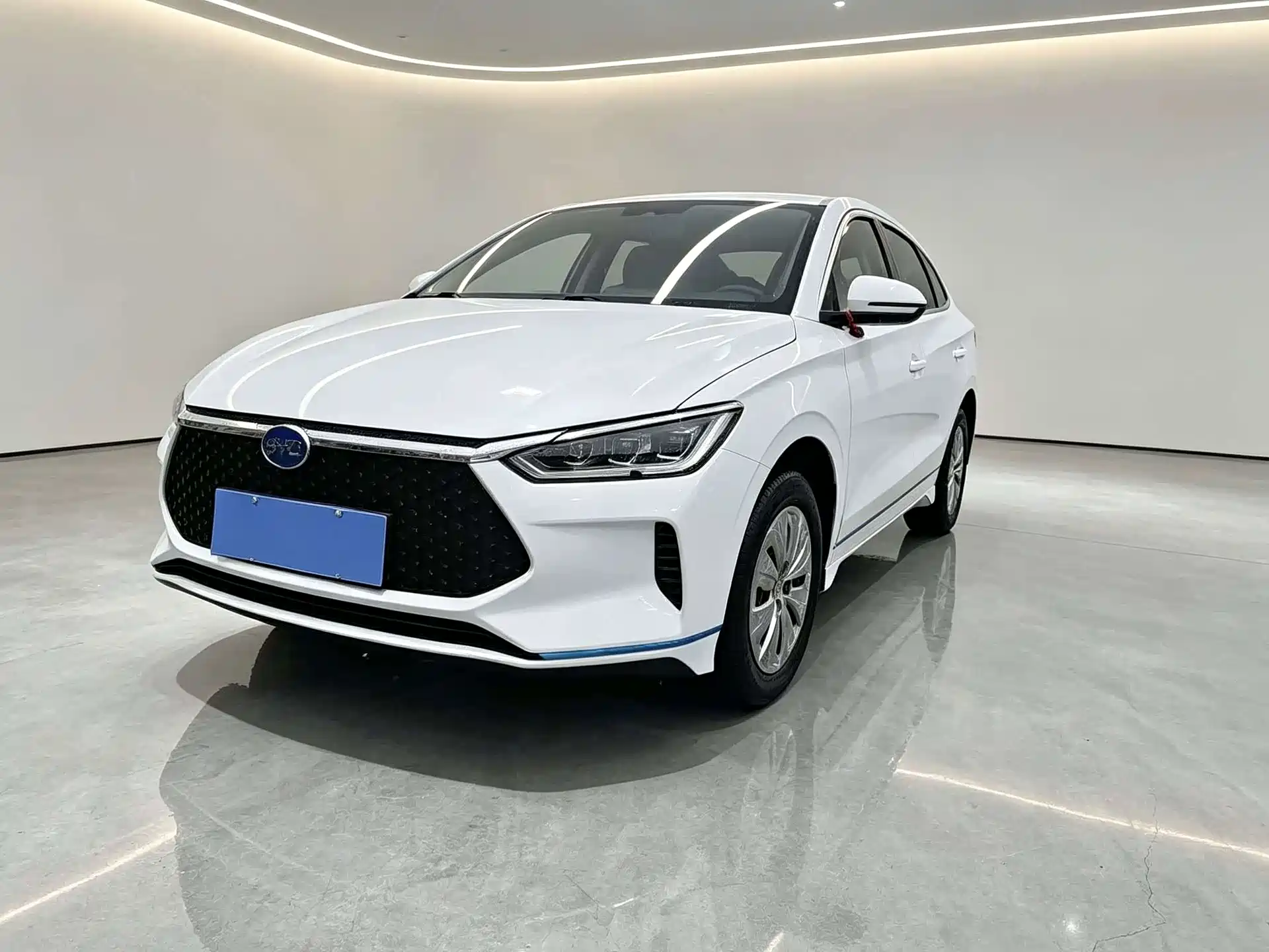 Фото 1 - BYD e2