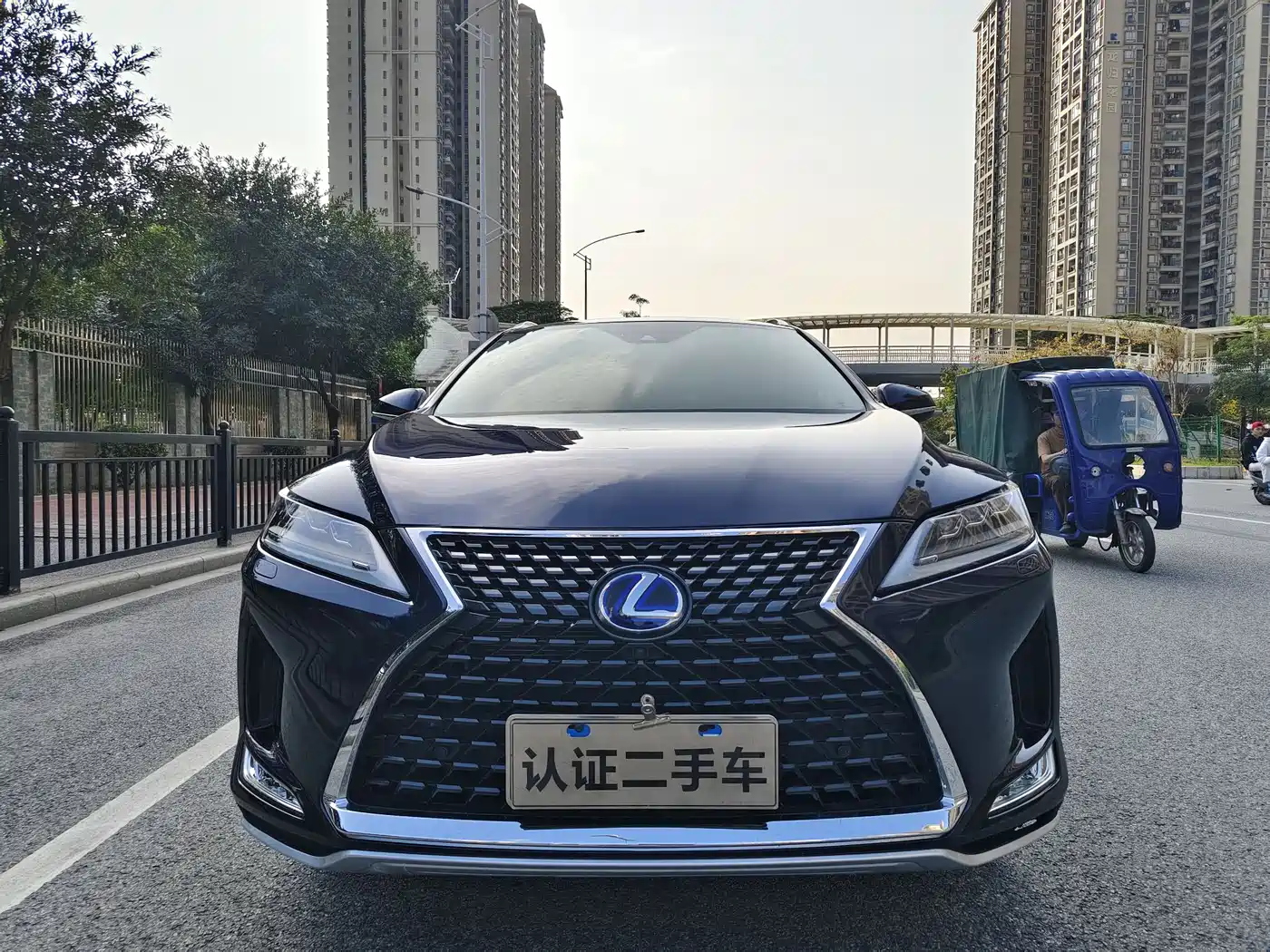 LEXUS RX