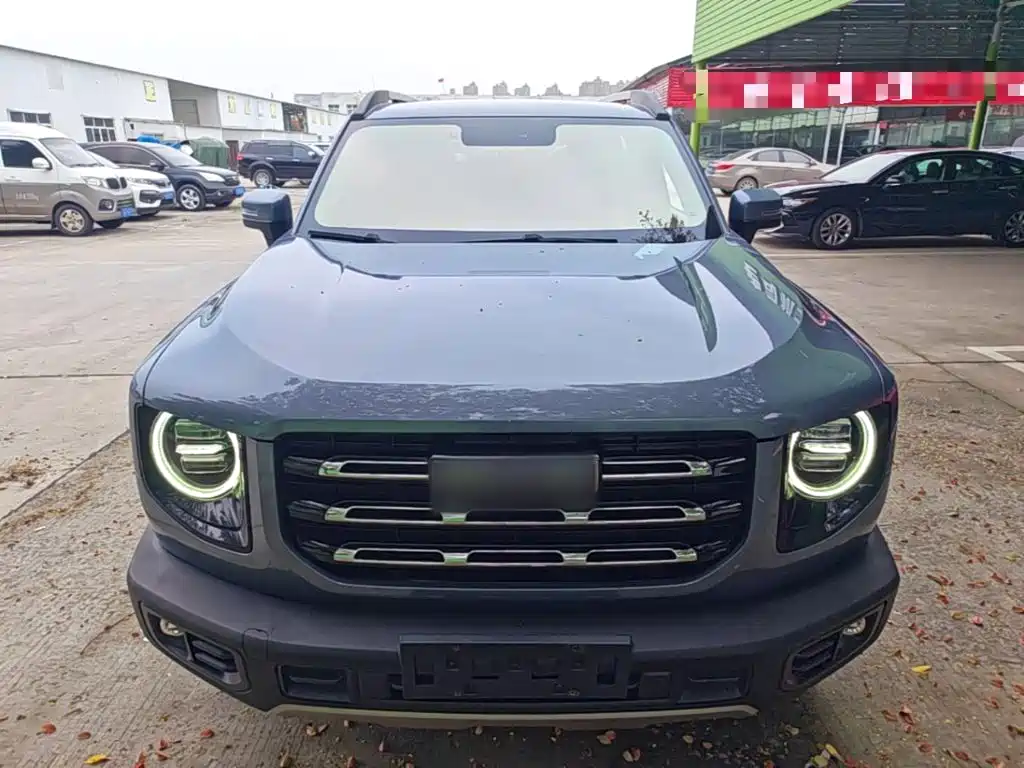 Фото 3 - Haval Dargo