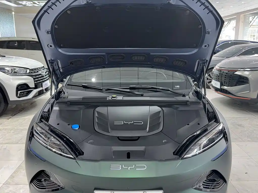 BYD Seal 2024 2023 Champion Edition 550km Premium